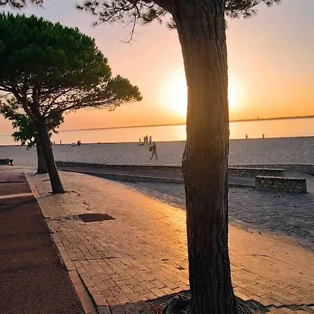 Ensoleillé Port Bassin D'arcachon Appartamento
