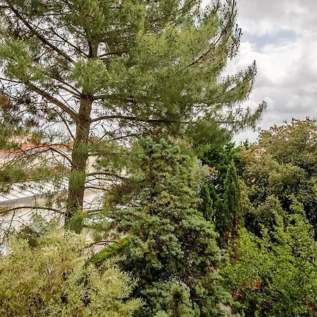 Ensoleillé Port Bassin D'arcachon Arcachon