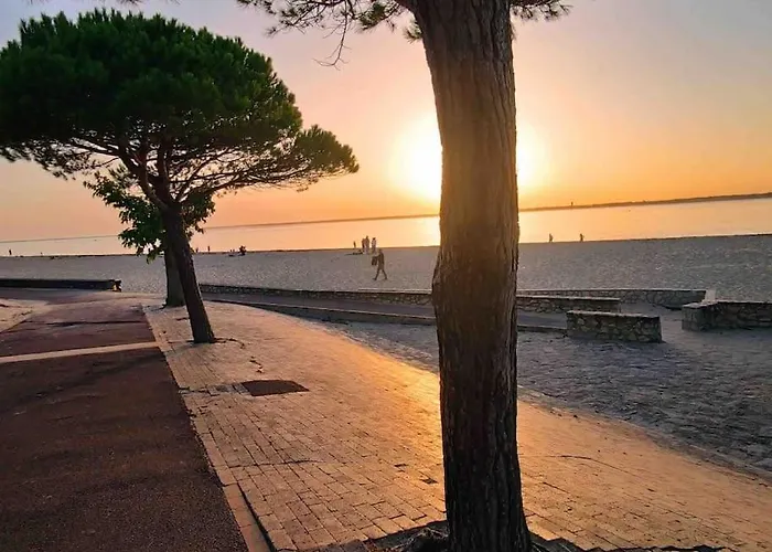 Ensoleille Port Bassin D'arcachon アパート